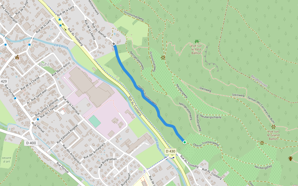 Oberer Trottbergweg walking route map in Buhl