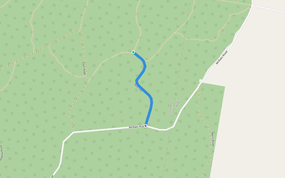 Bull Trail walking route map in Coramba