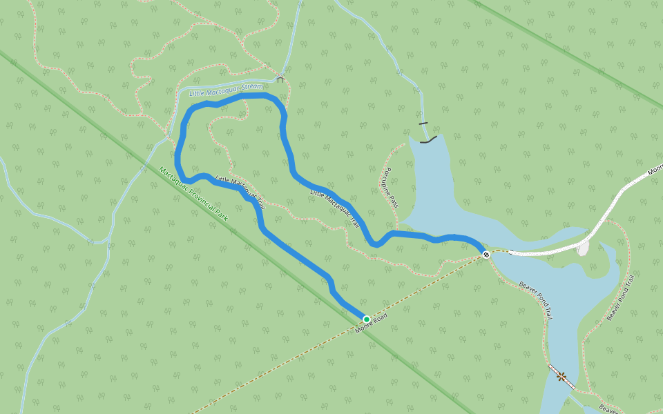 Little Mactaquac Trail walking route map in Scotch Lake
