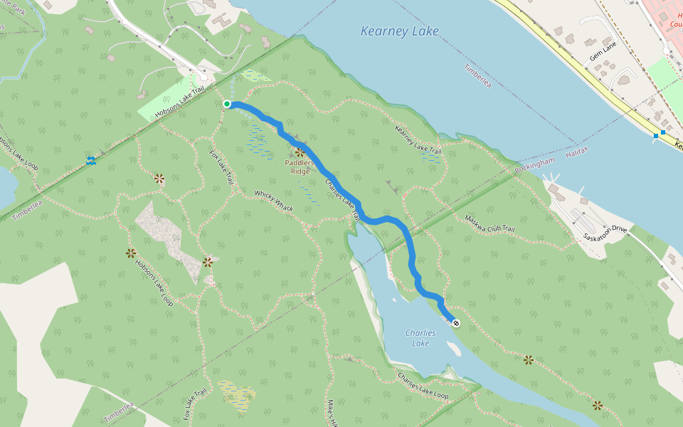 Charlies Lake Trail Hiking Halifax, Nova Scotia Pacer