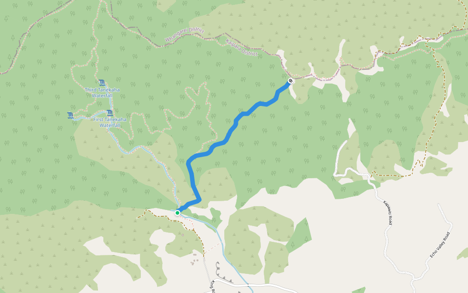 Forest Tanekaha Track walking route map in Mangawhai