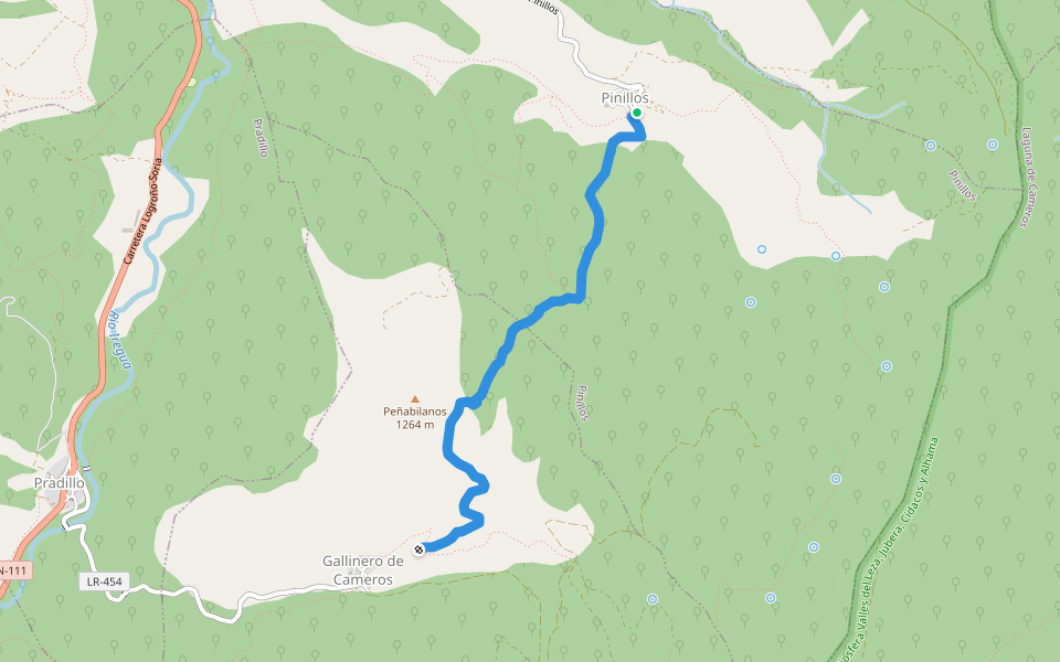 Camino de Pinillos a Gallinero walking route map in Pinillos