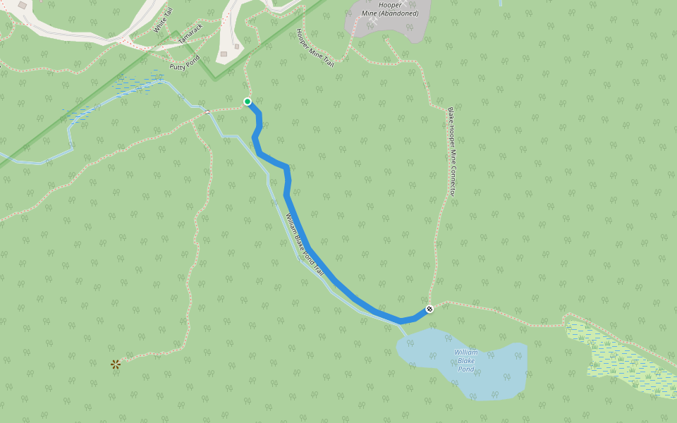 William Blake Pond Trail walking route map in Johnsburg