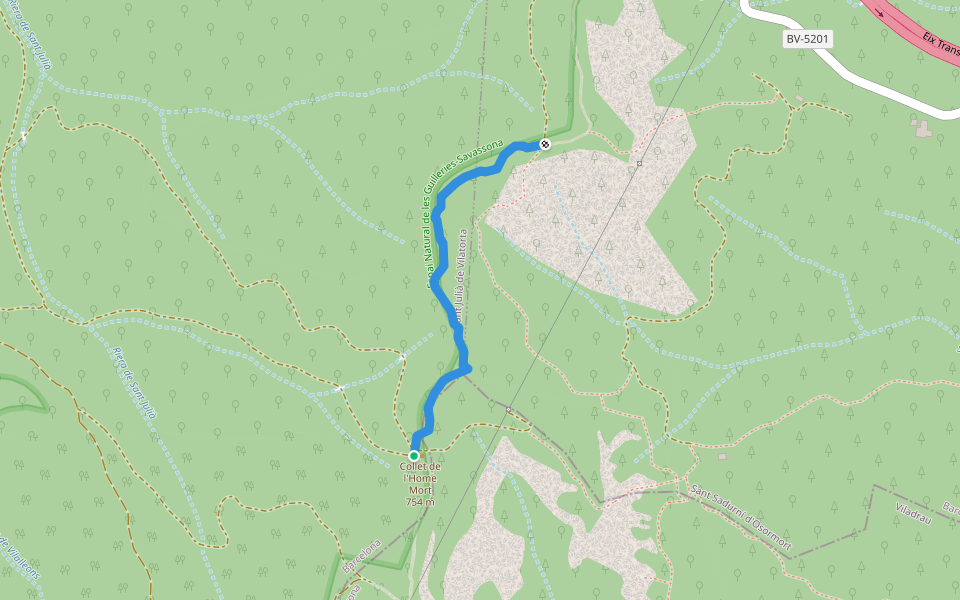 Tram final corriol de Puig-l'agulla a Romagats walking route map in Sant Julià de Vilatorta