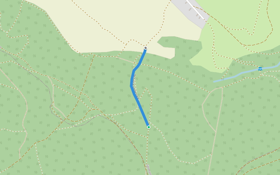 Technical single track walking route map in Betfia