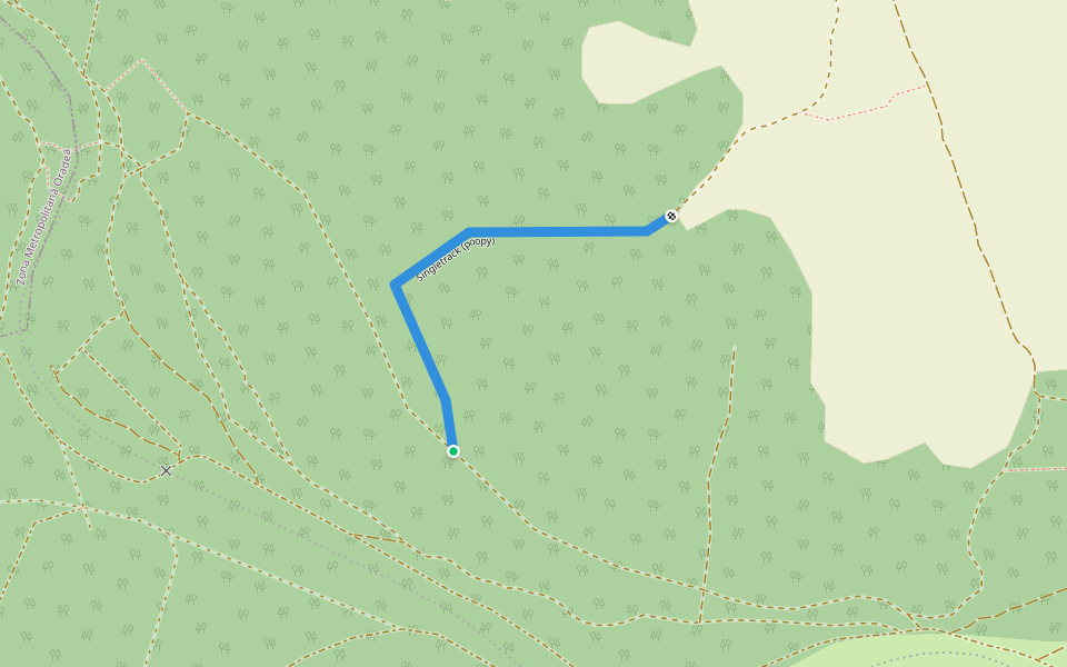 Singletrack (poopy) walking route map in Hidișelu de Jos
