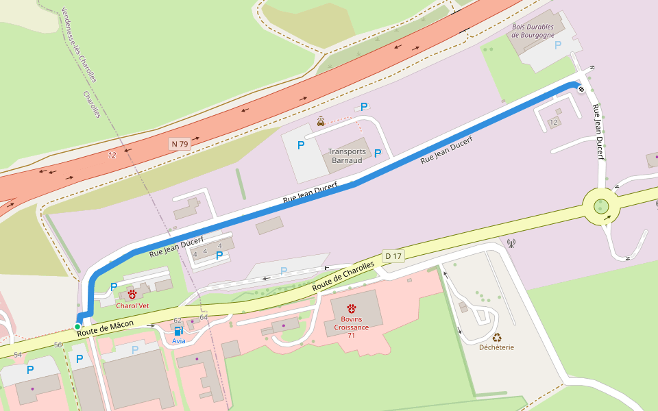 Rue Jean Ducerf walking route map in Charolles