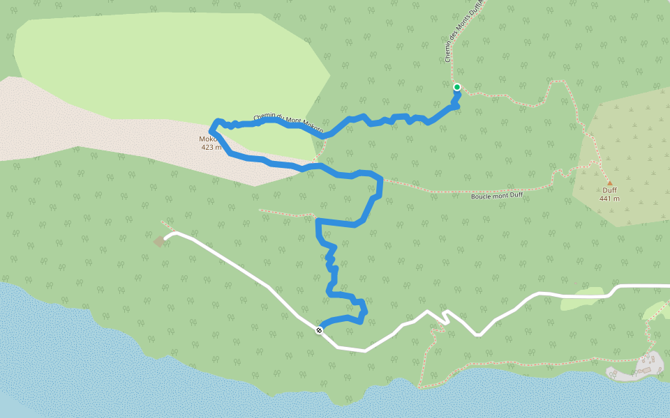Chemin du Mont Mokoto walking route map in Gambier