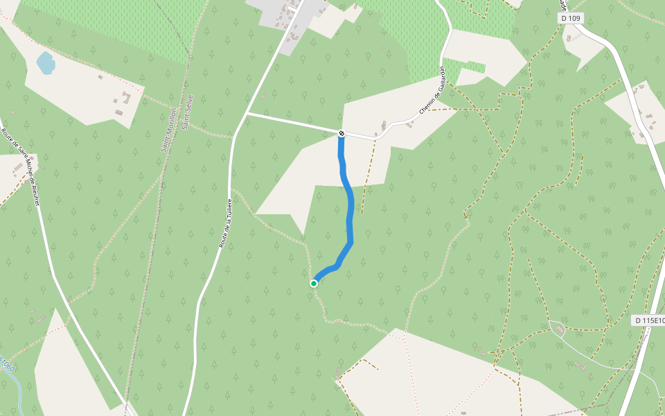 Chemin Rural CR16 walking route map in Saint-Selve