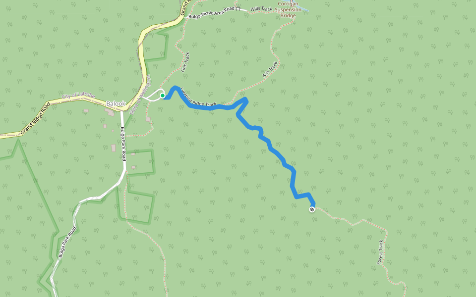 Lyrebird Ridge Track walking route map in Balook