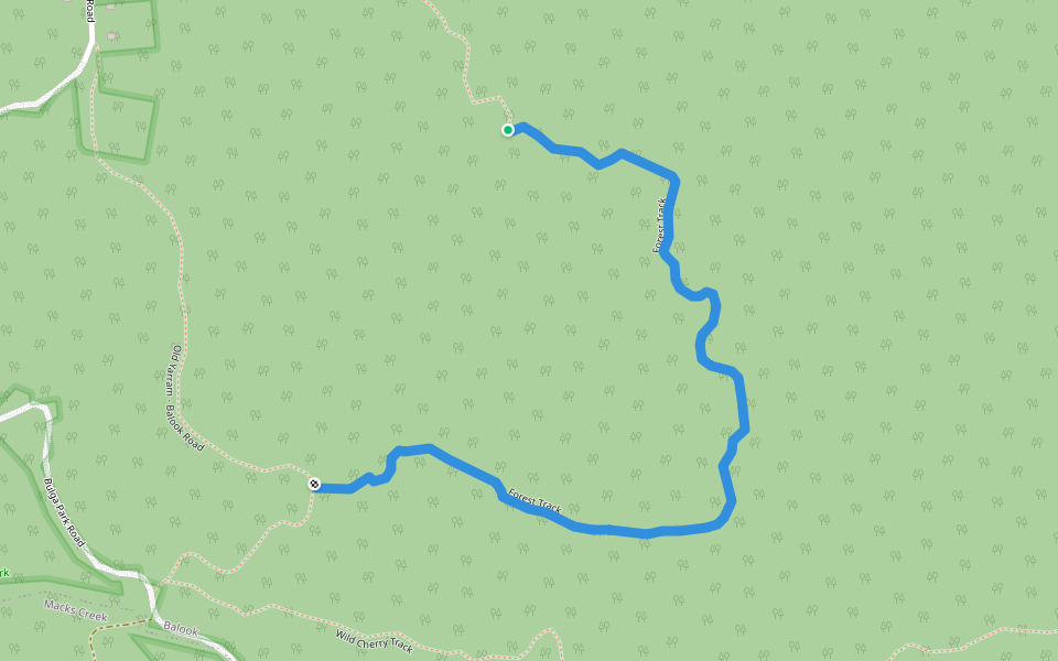 Forest Track walking route map in Balook