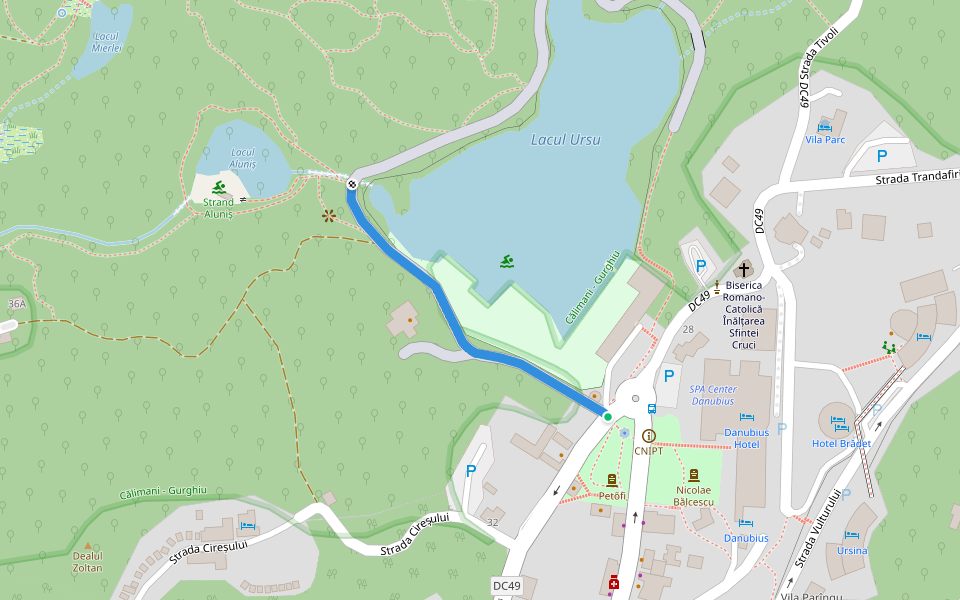 Strada Bradului walking route map in Sovata