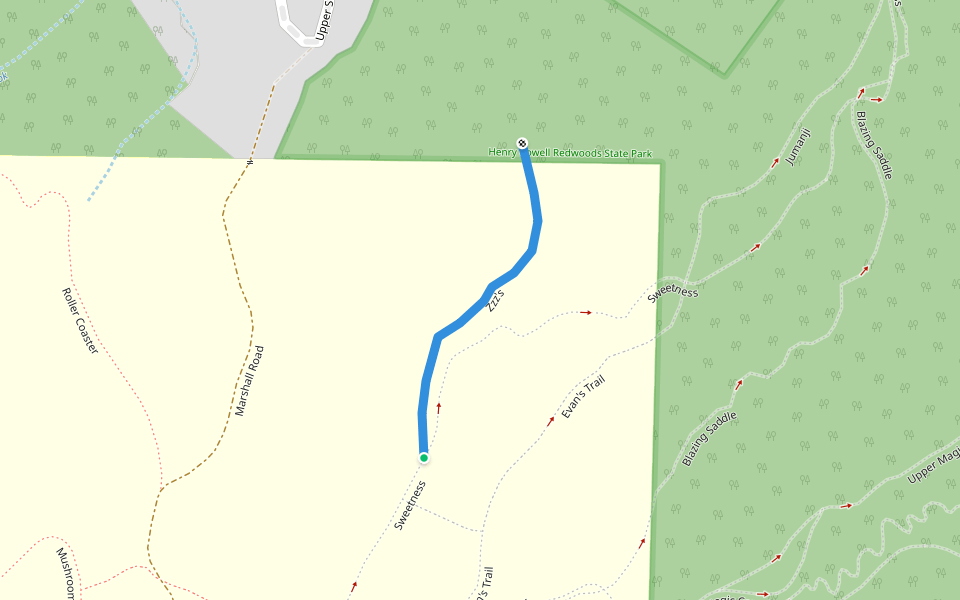 Zzz's walking route map in Felton