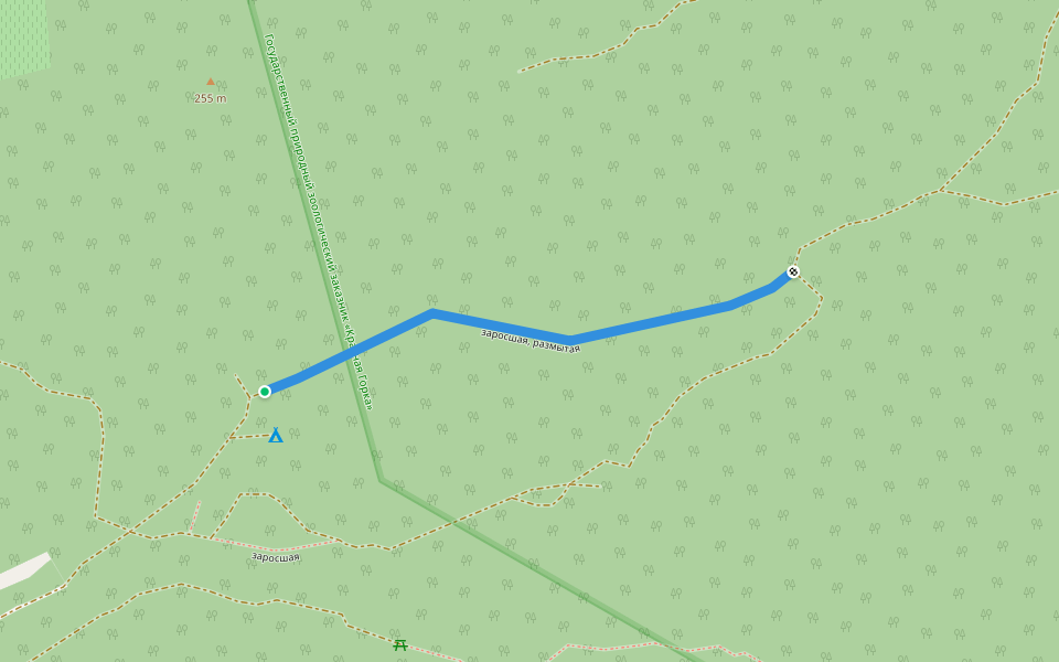 заросшая, размытая walking route map in Natukhaevskaya