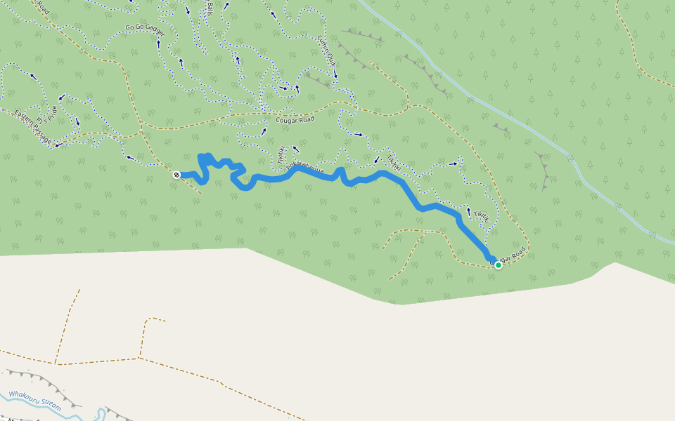 Pokaiwhenua walking route map in Kinleith
