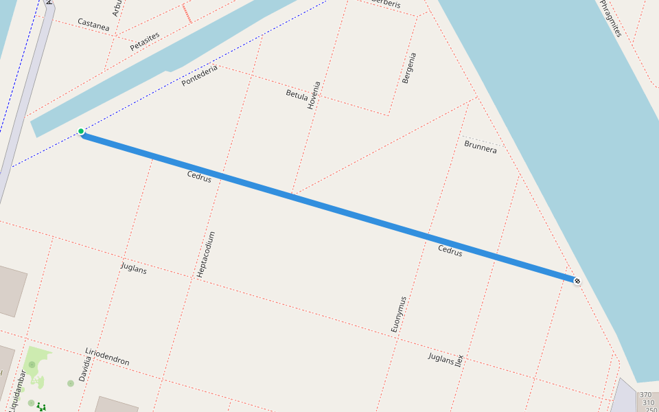 Cedrus walking route map in Almere