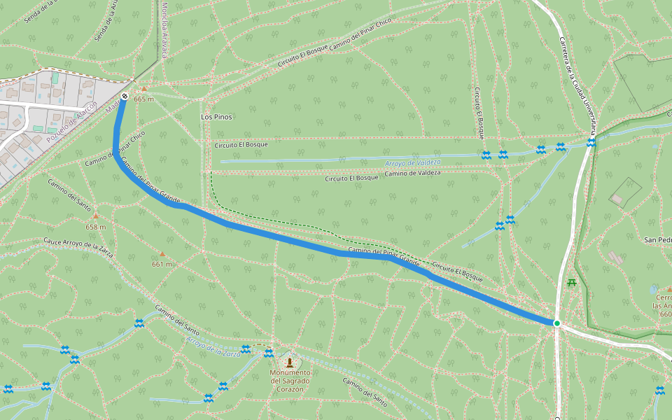 Camino del Pinar Grande