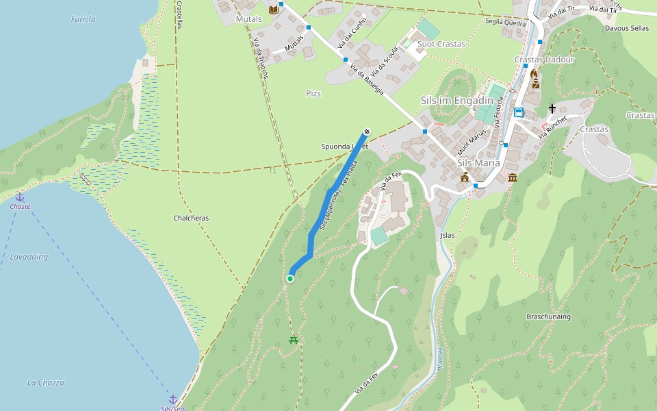 Sils (Alpenrose) - Fex Platta walking route map in Sils im Engadin