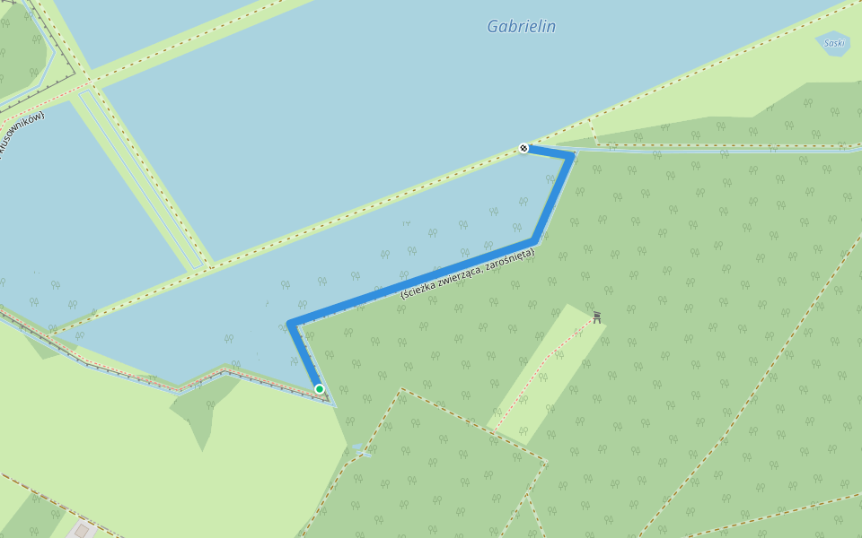 {ścieżka zwierząca, zarośnięta} walking route map in Ruda