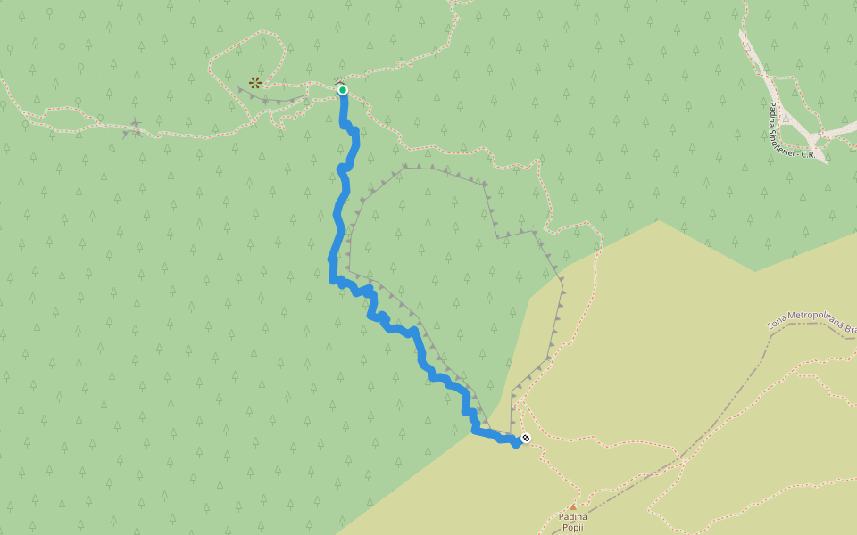 Traseu turistic Padina Popii walking route map in Zărnești