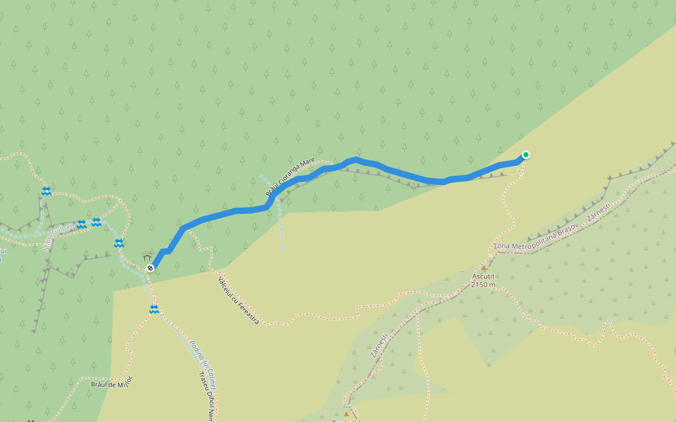 Brâul Cioranga Mare walking route map in Zărnești