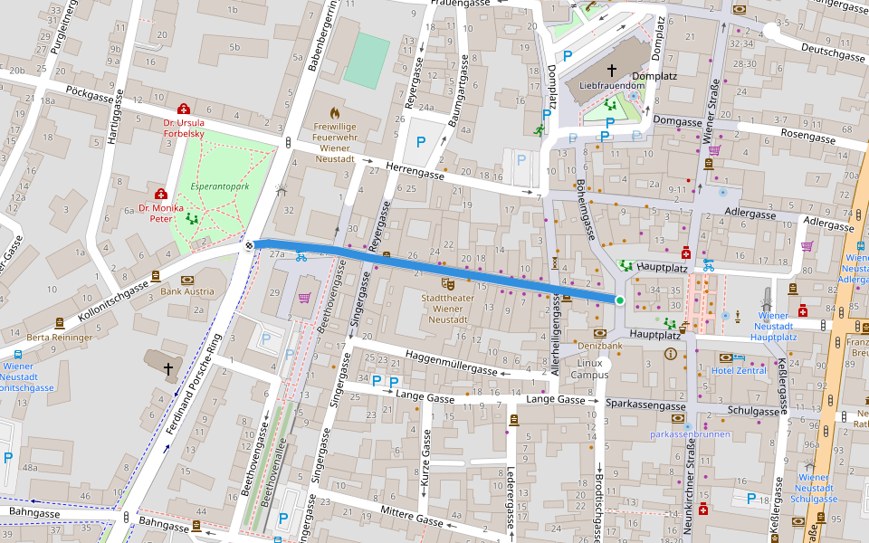 Herzog-Leopold-Straße walking route map in Wiener Neustadt