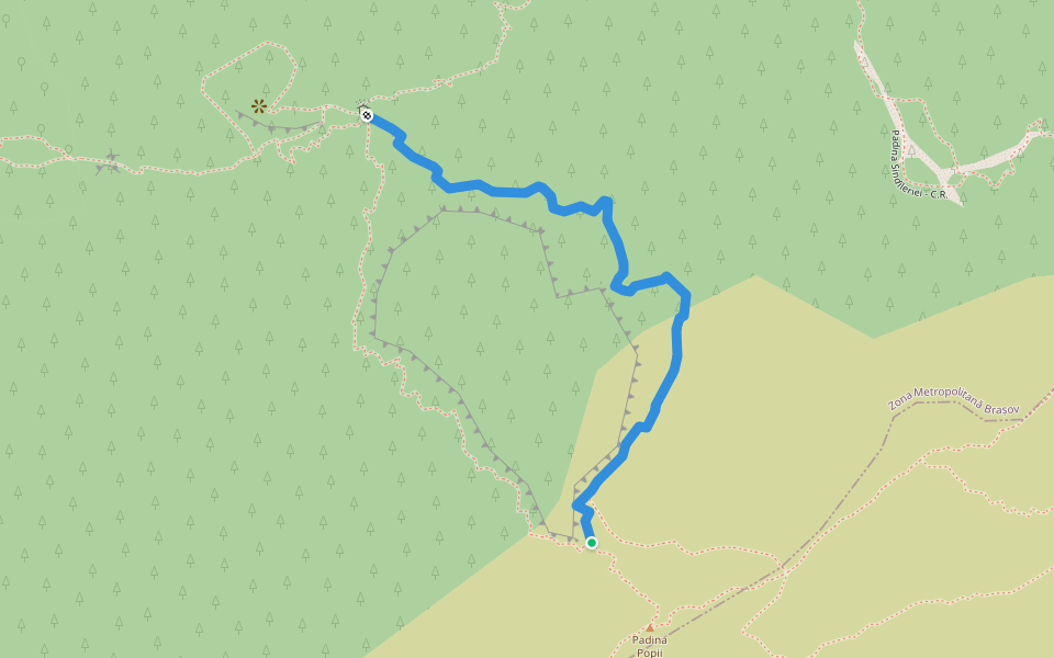 prin Brâna Caprelor walking route map in Zărnești