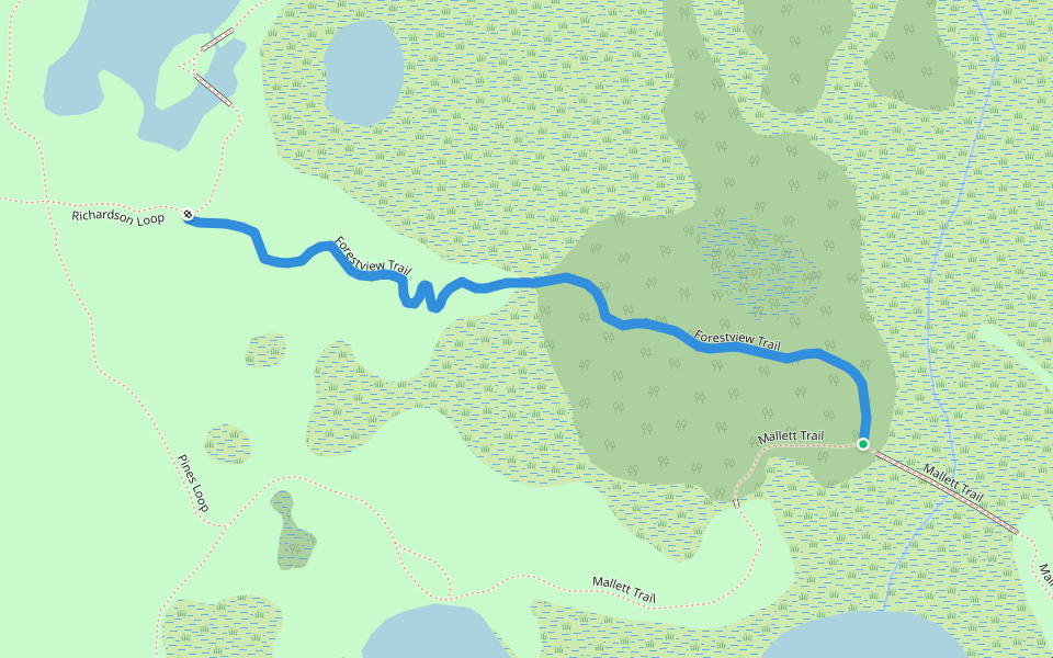 Forestview Trail walking route map in Holly