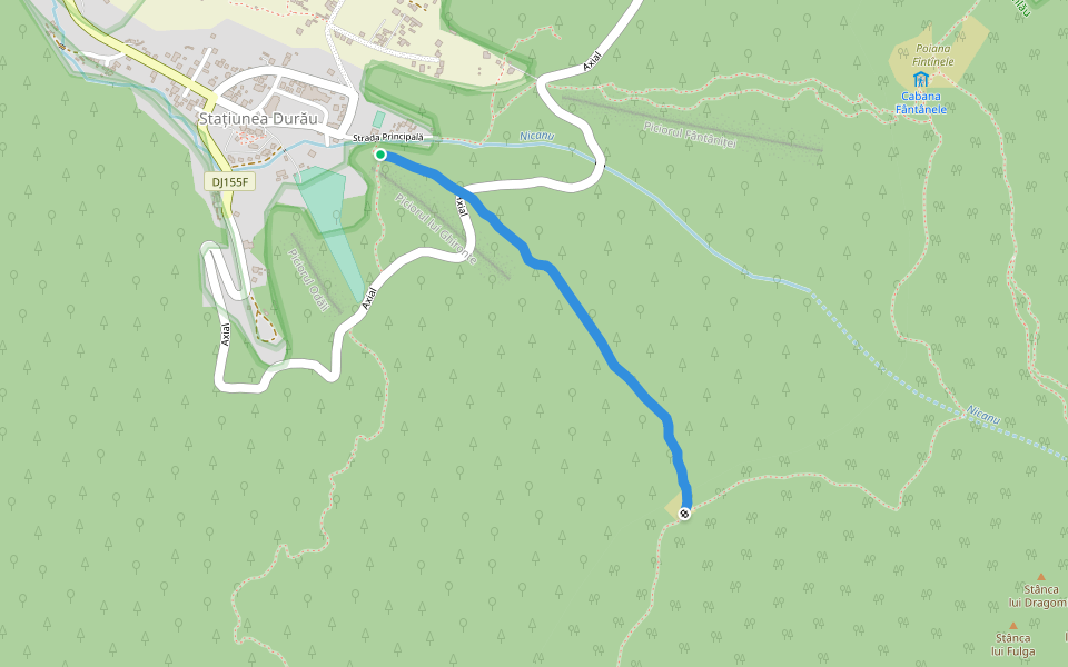 Durău - Poiana Viezuri (Cruce Roșie 1h15) walking route map in Durău