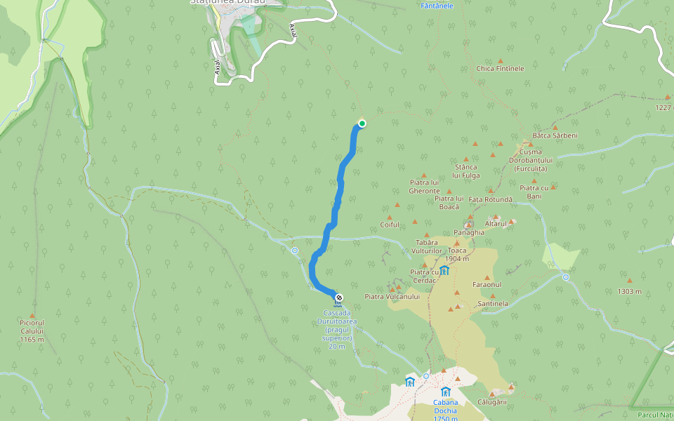 Poiana Viezuri - Duruitoarea (Cruce Roșie 1h) walking route map in Durău