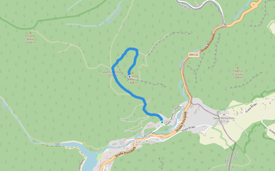 Lacul Roșu - Suhardu Mic (Triunghi Albastru 1H15) walking route map in Lacu Roșu