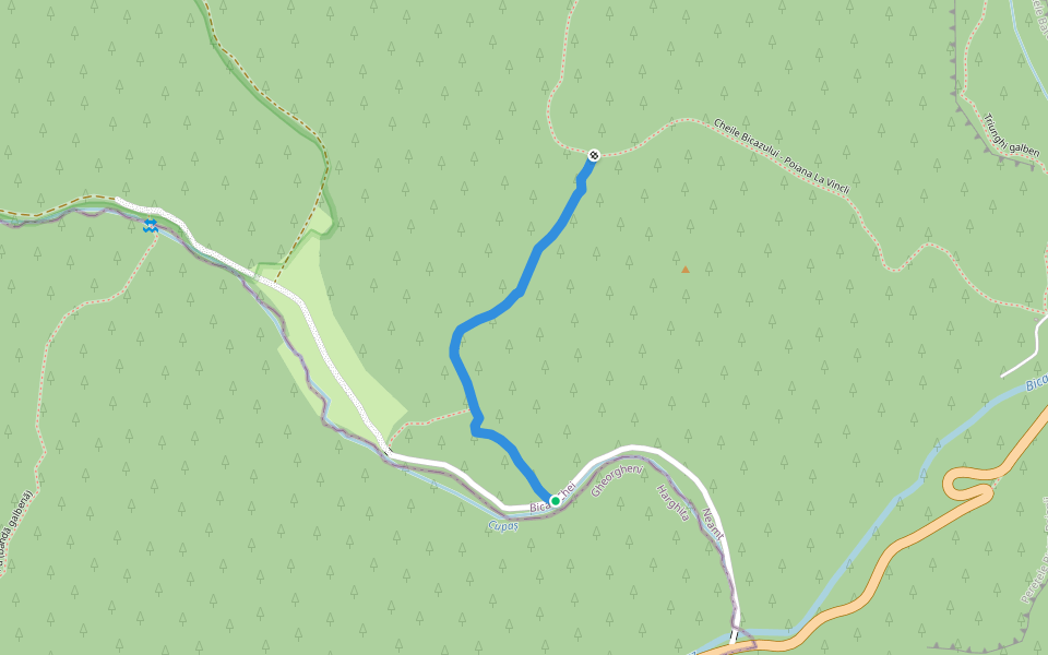 Cheile Cupaşului - Fundul Cupaşului walking route map in Bârnadu
