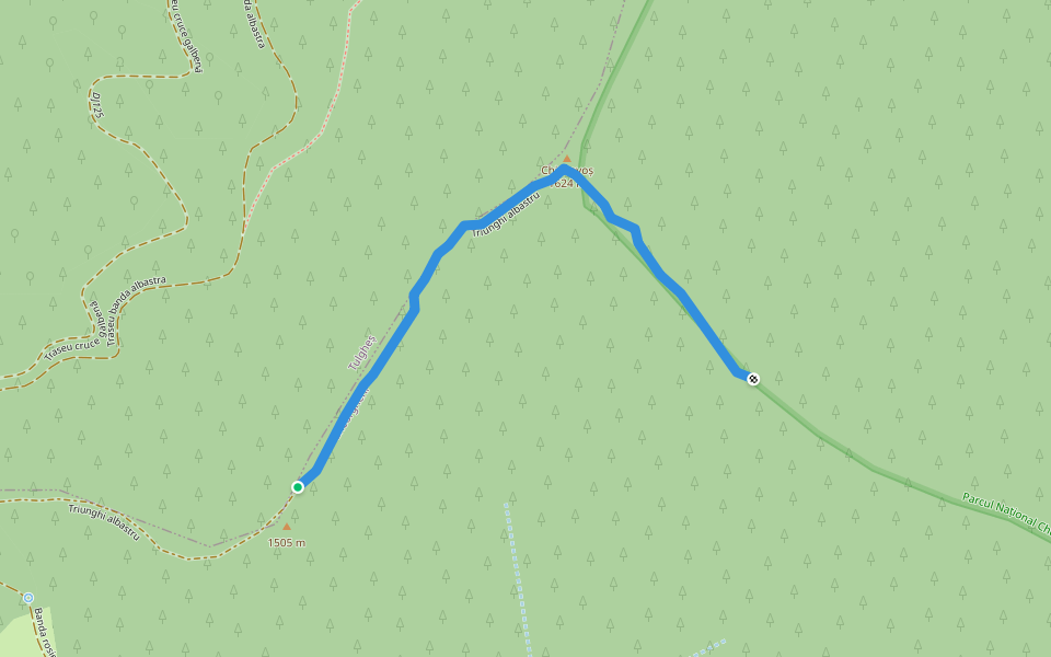Triunghi albastru walking route map in Lacu Roșu