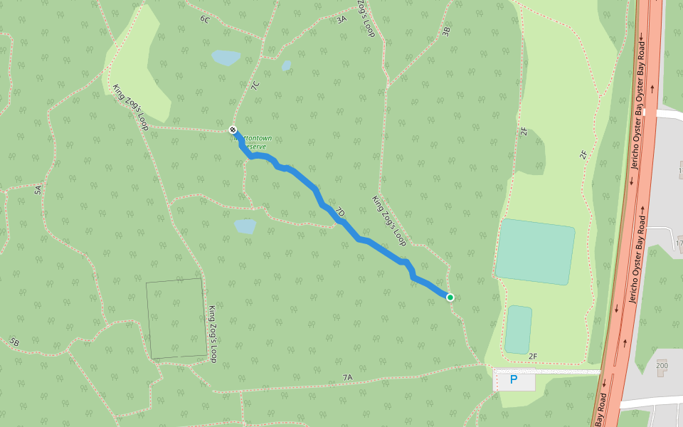 7D walking route map in Syosset