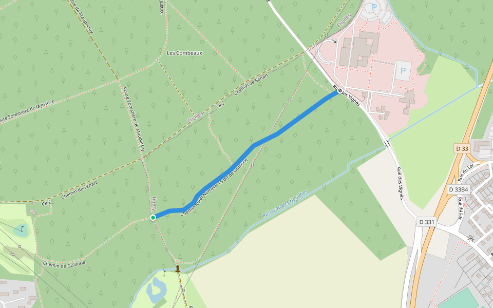 Chemin Rural Numéro 15 dit de Guillorie walking route map in Tigery