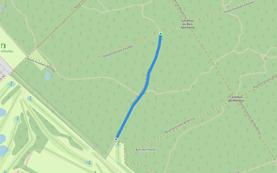 Chemin Rural dit Fuyant de Brunay walking route map in Étiolles