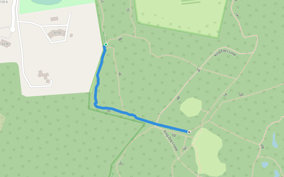 1D walking route map in Syosset