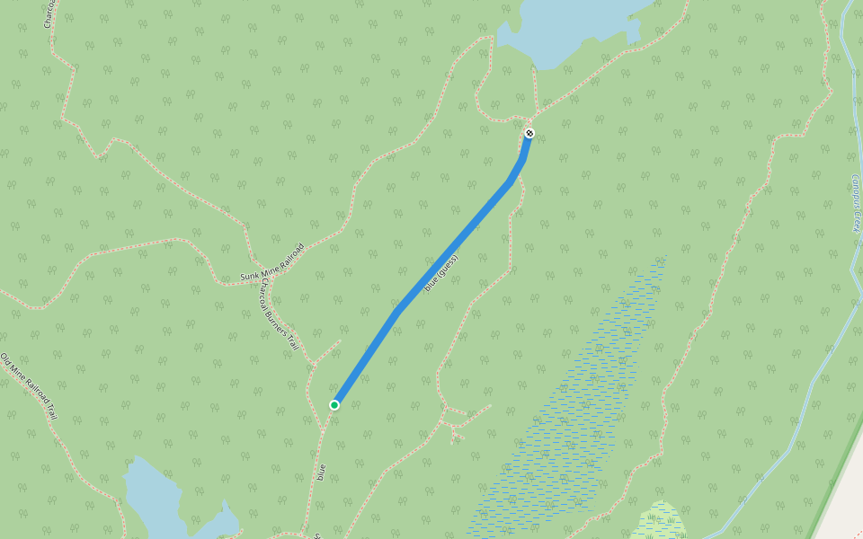 blue (guess) walking route map in Cold Spring