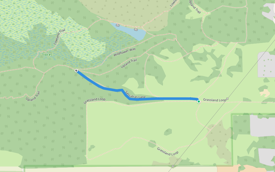 Sassafras Lane walking route map in Benton Harbor