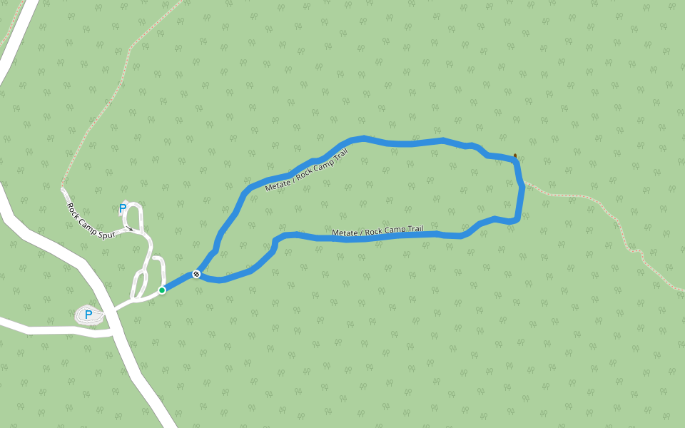Metate / Rock Camp Trail walking route map in Lake Arrowhead