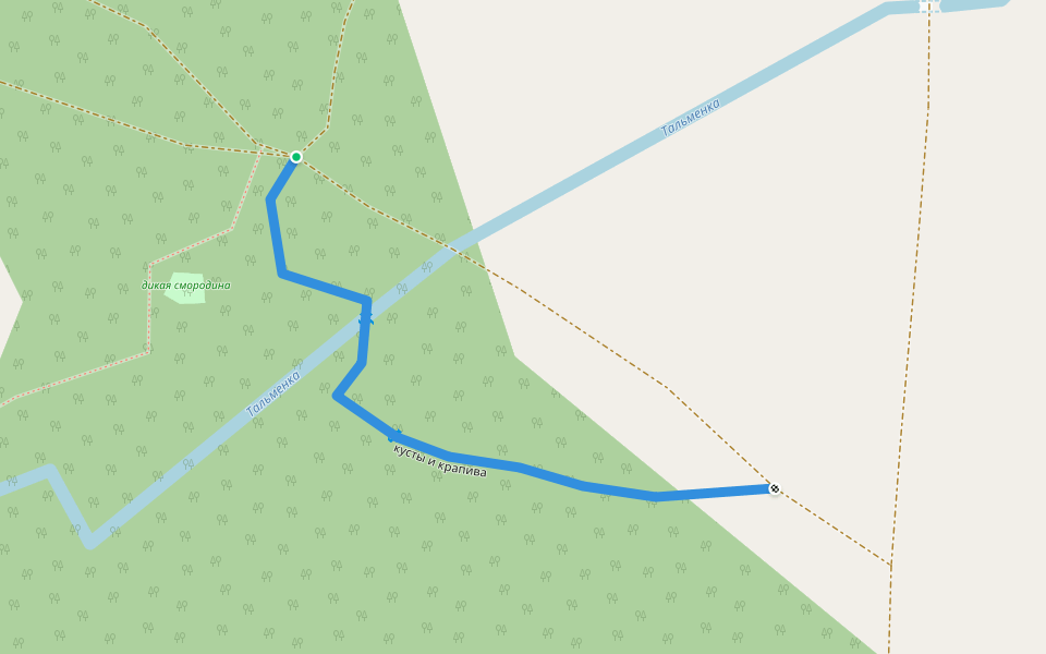 кусты и крапива walking route map in Kliuchi
