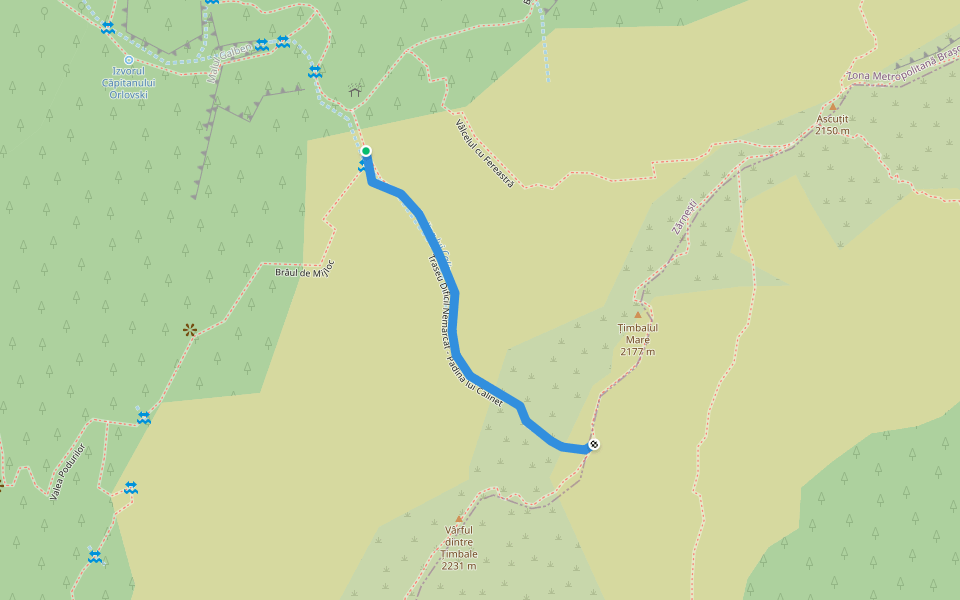 Traseu Dificil Nemarcat - Padina lui Calinet walking route map in Peștera