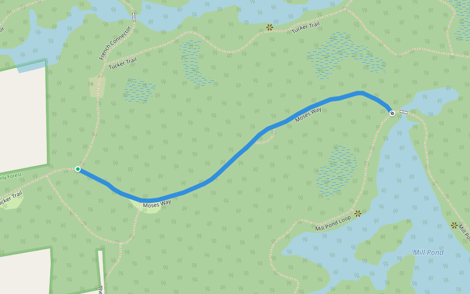 Moses Way walking route map in Kingston