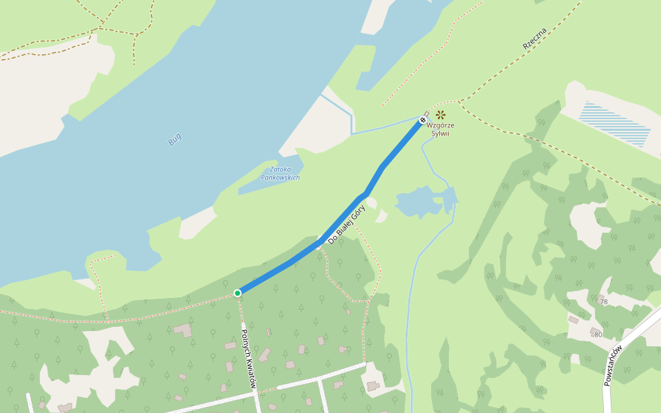 Do Białej Góry walking route map in Deskurów