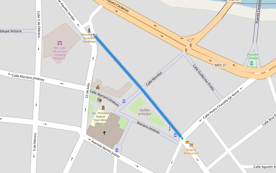 Calle Aquiles Serdán walking route map in La Piedad de Cabadas