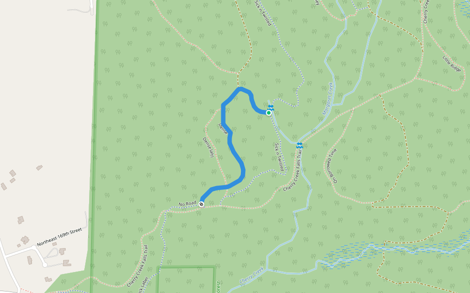 Dense walking route map in Duvall