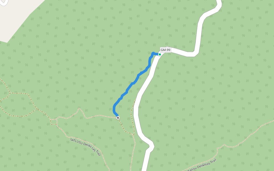 TATLUSU YÜRÜĞÜŞ PARKURU walking route map in Tatlısu