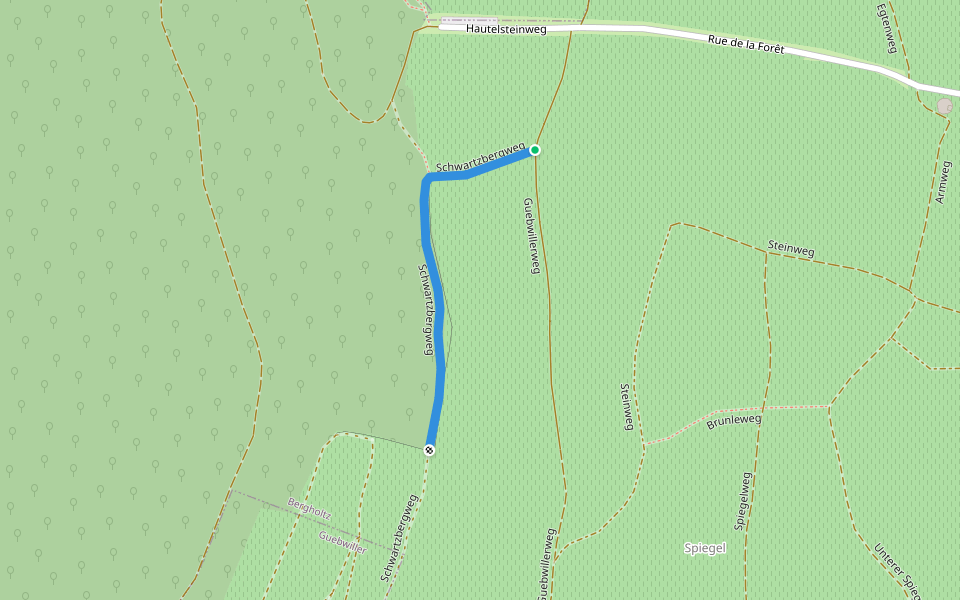 Schwartzbergweg walking route map in Bergholtz