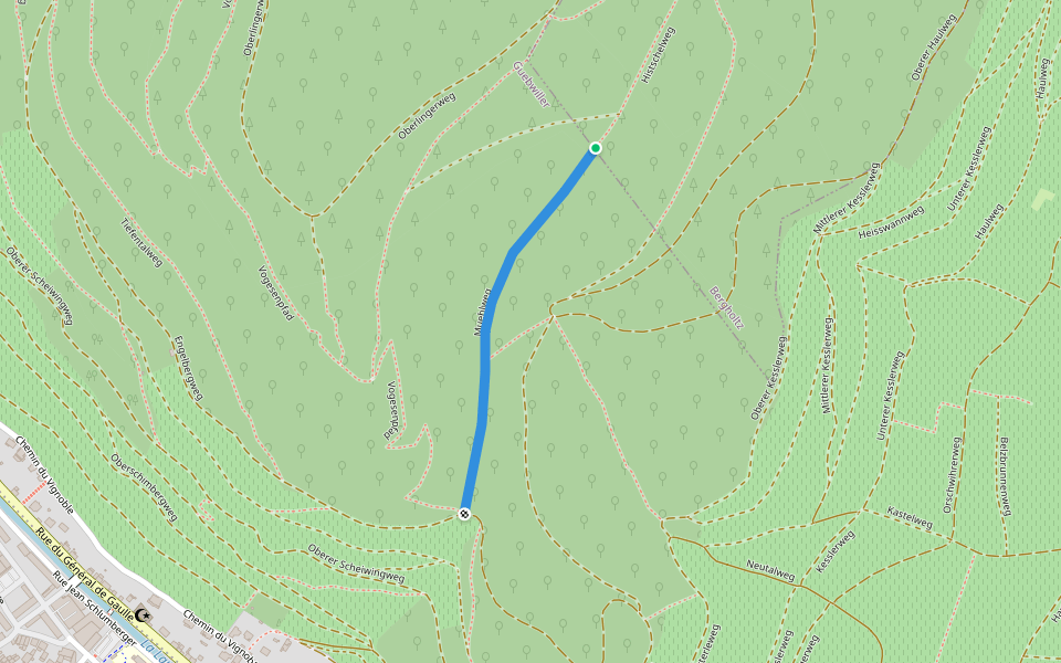 Muehlweg walking route map in Bergholtz