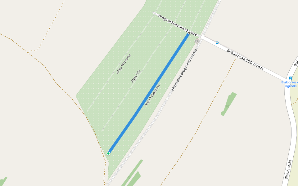 Aleja Tulipanów walking route map in Krosno